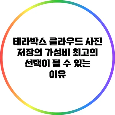 테라박스 클라우드 사진 저장의 가성비: 최고의 선택이 될 수 있는 이유