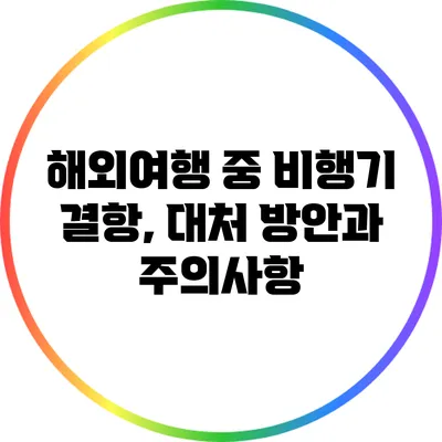 해외여행 중 비행기 결항, 대처 방안과 주의사항