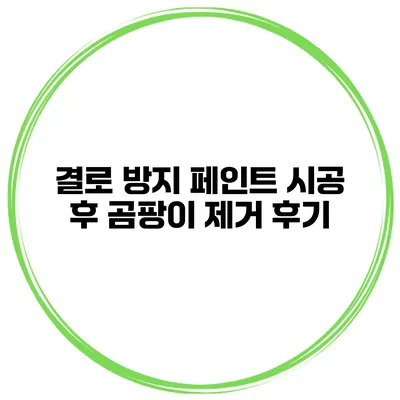 결로 방지 페인트 시공 후 곰팡이 제거 후기
