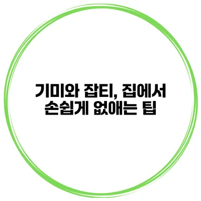 기미와 잡티, 집에서 손쉽게 없애는 팁