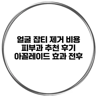얼굴 잡티 제거 비용 피부과 추천 후기 아꼴레이드 효과 전후