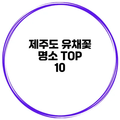 제주도 유채꽃 명소 TOP 10