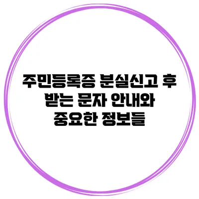 주민등록증 분실신고 후 받는 문자 안내와 중요한 정보들