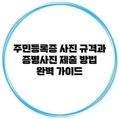 주민등록증 사진 규격과 증명사진 제출 방법 완벽 가이드