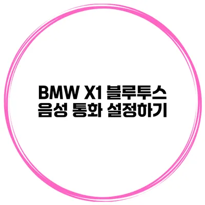 BMW X1 블루투스 음성 통화 설정하기