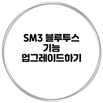 SM3 블루투스 기능 업그레이드하기
