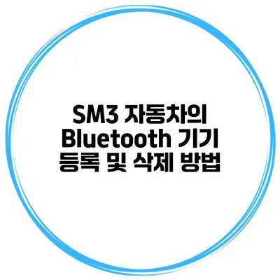 SM3 자동차의 Bluetooth 기기 등록 및 삭제 방법