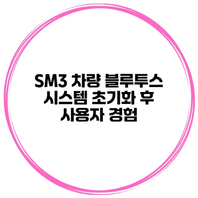 SM3 차량 블루투스 시스템 초기화 후 사용자 경험