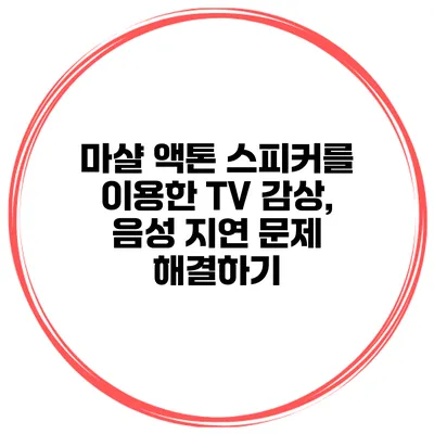 마샬 액톤 스피커를 이용한 TV 감상, 음성 지연 문제 해결하기
