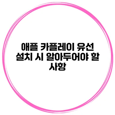 애플 카플레이 유선 설치 시 알아두어야 할 사항
